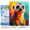 Image de Figured'Art Peinture par Numéro Adulte avec Cadre Suricate Coloré Abstrait - Activité Manuelle Kit de Loisir Créatif DIY Numéro d'Art Complet Animaux - 40x50cm toile tendue sur châssis