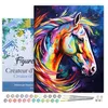 Image de Figured'Art Peinture par Numéro Adulte avec Cadre Cheval Coloré Abstrait - Activité Manuelle Kit de Loisir Créatif DIY Numéro d'Art Complet Animaux - 40x50cm toile tendue sur châssis