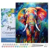 Image de Figured'Art Peinture par Numéro Adulte avec Cadre Éléphant Coloré Abstrait - Activité Manuelle Kit de Loisir Créatif DIY Numéro d'Art Complet Animaux - 40x50cm toile tendue sur châssis