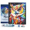 Image de Figured’Art Diamond Painting Broderie Diamant 40x50cm Avec Cadre Toile Tendue Strass Perles Carrés - Hibou Coloré Abstrait - Kit Complet 5D DIY Activité Manuelle Loisirs Créatifs Adultes