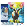 Image de Figured’Art Diamond Painting Broderie Diamant 40x50cm Avec Cadre Toile Tendue Strass Perles Carrés - Orignal Coloré Abstrait - Kit Complet 5D DIY Activité Manuelle Loisirs Créatifs Adultes