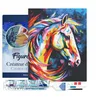 Image de Figured’Art Diamond Painting Broderie Diamant 40x50cm Avec Cadre Toile Tendue Strass Perles Carrés - Cheval Coloré Abstrait - Kit Complet 5D DIY Activité Manuelle Loisirs Créatifs Adultes