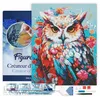 Image de Figured’Art Diamond Painting Broderie Diamant 40x50cm Avec Cadre Toile Tendue Strass Perles Carrés - Hibou coloré en fleurs - Kit Complet 5D DIY Activité Manuelle Loisirs Créatifs Adultes