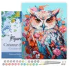 Image de Figured'Art Peinture par Numéro Adulte avec Cadre Hibou coloré en fleurs - Activité Manuelle Kit de Loisir Créatif DIY Numéro d'Art Complet - 40x50cm toile tendue sur châssis