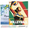 Image de Figured'Art Peinture par Numéro Adulte avec Cadre Affiche sportive Volley - Activité Manuelle Kit de Loisir Créatif DIY Numéro d'Art Complet - 40x50cm toile tendue sur châssis