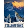 Image de Alipson Puzzle Loup de Yellowstone