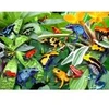 Image de Alipson Puzzle Fun Frogs