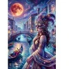 Image de Alipson Puzzle Venise Magique
