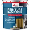 Image de ARCANE INDUSTRIES Peinture radiateur, fonte, acier, alu, chauffage, toutes couleurs, peinture radiateur - 1 kg (jusqu'à 5 m² en 2 couches) Beige Gris - RAL 1019