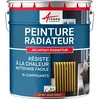 Image de ARCANE INDUSTRIES Peinture radiateur, Fonte, Acier, alu, Chauffage, Toutes Couleurs, Peinture radiateur - 1 kg (jusqu'à 5 m² en 2 Couches) Rouge Tomate - RAL 3013