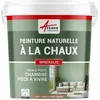 Image de Peinture chaux naturelle : peinture, sans émanation, mineralis - 15 m² (2.5 kg en 1 couche) Canelle Rose Orange - ARCANE INDUSTRIES