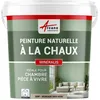Image de Peinture chaux naturelle : peinture, sans émanation, mineralis - 30 m² (5 kg en 1 couche) Muscade Gris Rose - ARCANE INDUSTRIES