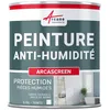 Image de ARCANE INDUSTRIES Peinture Anti humidité pour Mur Salle de Bain et intérieur | Traitement préventif des moisissures : ARCASCREEN - 0.75 L (jusqu'à 3 m