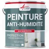 Image de ARCANE INDUSTRIES Peinture Anti humidité pour Mur Humide en plâtre, béton, placo, Cave et sous-Sol, Salle de Bain, sdb, Anti moisissure, salpêtre, Isolante : Arcascreen - 2.5 L (jusqu'à 10 m