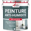 Image de ARCANE INDUSTRIES Peinture Anti humidité pour Mur Humide en plâtre, béton, placo, Cave et sous-Sol, Salle de Bain, sdb, Anti moisissure, salpêtre, Isolante : Arcascreen - 10 L (jusqu'à 40 m