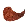 Image de EZ1111T Pickguard Folk Ecaille