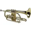 Image de CO50 - Sib Verni