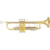 Image de TP500 - Sib Vernie