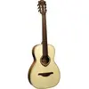 Image de Tramontane T177PE Parlor 12 Cases Électro