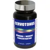 Image de NUTRI EXPERT - Cervotonus - Complément alimentaire à base de Ginkgo, Vitamine B, Cuivre, Zinc - Mémoire & Concentration - Soutien des performances cognitives - 60 Gélules végétales