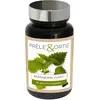 Image de NUTRIEXPERT Prêle & Ortie, Reminéralisation, Articulations et Os, Stimule La Fonction d’Elimination Rénale, Actifs d’Origine Naturelle, Convient Aux Végans, 60 Gélules Végétales