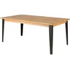 Image de CONCEPT1 Manhattan 200 x 100 x 76 cm MAN-TR200