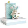 Image de Doudou et Compagnie - Protège Carnet De Santé Bébé + Doudou Lapin - 32,5cm X 23,5cm - Vert Amande - Coffret Cadeau De Naissance - Lapin De Sucre - DC3499