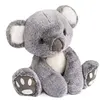 Image de HISTOIRE D'OURS - Peluche Koala - Dans la Forêt Tropicale - Taille 35 cm - Couleur Grise - Douce et Câline pour Enfants et Collectionneurs - Idee de Cadeau pour Tous Âges - HO2970