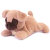 Image de Doudou et Compagnie - Les P'Tits Relax - Chien Beige PM 22 cm OS