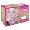 Image de Inebios - Sérémens Tisane Bio Saveur Citron Boîte 20 Sachets