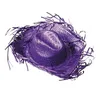 Image de Party Pro 87309304 Cowboy Caraibe Chapeau Violet