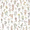Image de Papier peint Queyran / Motif herbier de fleurs (50cm x 10m) - Lilipinso