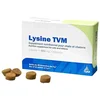 Image de LYSINE BOULETTES CHAT / SYNDROME DU CORYZA - TVM