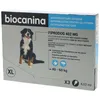 Image de FIPRODOG Tres GD Chien 402MG 3 pipettes Antiparasitaire Externe Biocanina