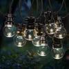 Image de SKYLANTERN Guirlande Guinguette 30M Transparente - Guirlande Lumineuse Exterieure LED Blanc chaud 30 bulbes - Guirlande Guinguette Exterieure de 30M + 3M de cable