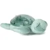 Image de Veilleuse tortue aquatique rechargeable Cloud B Vert en occasion ou reconditionné