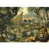 Image de Kiub Animaux Savane