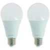 Image de Xanlite Lot de 2 Ampoules LED A67 E27 15W (100W équiv.)   1521 Lumens   Blanc Neutre   Angle 200°   PACK2EE1521GCW