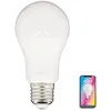 Image de KOZII, Ampoule LED Connectée SMD E27 A60 Opaque 9W, Variation de Couleur et Luminosité, Compatible Alexa et Google Home, Douille E27, Économie d'Énergie, Idéale pour Maison Intelligente