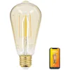 Image de KOZII, Ampoule LED Connectée E27 ST64 Filament Verre Ambré 4,9W, Éclairage Multi-Blancs avec Variation de Luminosité, Idéale pour Décoration Intérieure et Ambiance Personnalisée.
