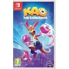 Image de Kao The Kangaroo Nintendo Switch en occasion ou reconditionné
