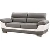 Image de Habitat et Jardin - Canapé Droit en Cuir Reconstitué et PVC Dallas 2 Places Blanc et Gris - Canapé Fixe Design Moderne - Longeur 210 cm