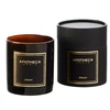 Image de Apotheca - Bougie parfumée Amare à la rose anglaise - 1 mèche 50h OS
