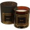 Image de Apotheca - Bougie parfumée Silva au Cuir et au Pin - 1 mèche 50h OS