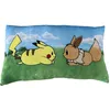 Image de Coussin premium - POKEMON - Pikachu & Eevee - Microfibre - 60 cm