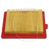 Image de Filtre a air compatible CASTEL GARDEN SV150, RM45, SV40, RV45