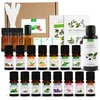 Image de L'incontournable box - Coffret Cadeau Aromathérapie - 15 huiles essentielles BIO indispensables