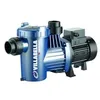 Image de Pompe De Filtration Piscine Winner Pedrollo 100 M 230v - 0,75 Kw - 18 M3/h