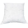 Image de Olympe - Oreiller Duvet et Plumes Chambord blanc - 60x60 cm 60x60 cm
