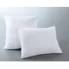 Image de UNIVERSDECOR - Lot de 2 protèges taies Flanelle 100% Coton (2 protèges taies 50 x 70 cm)